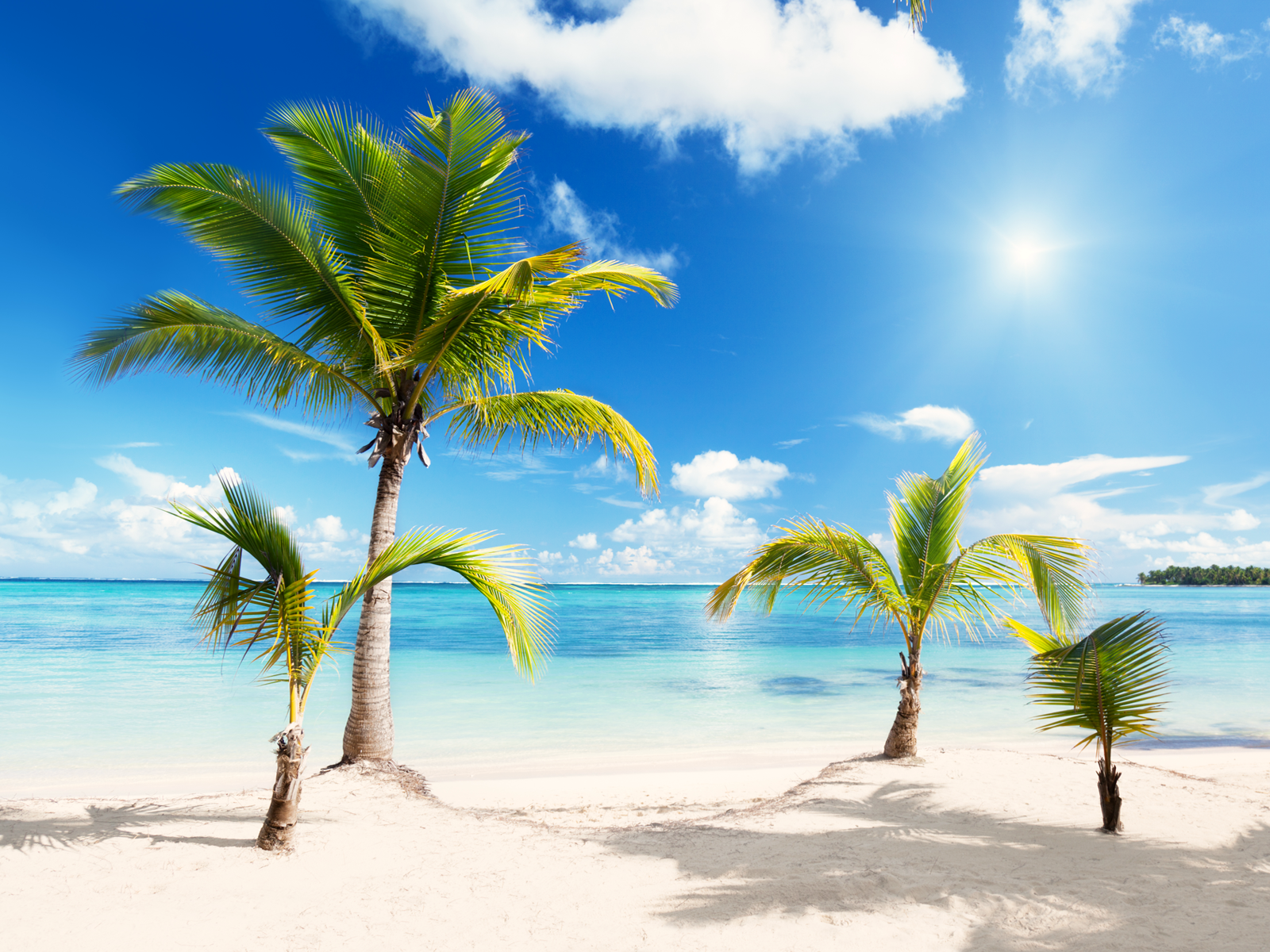 Beach Download Png Transparent PNG Image