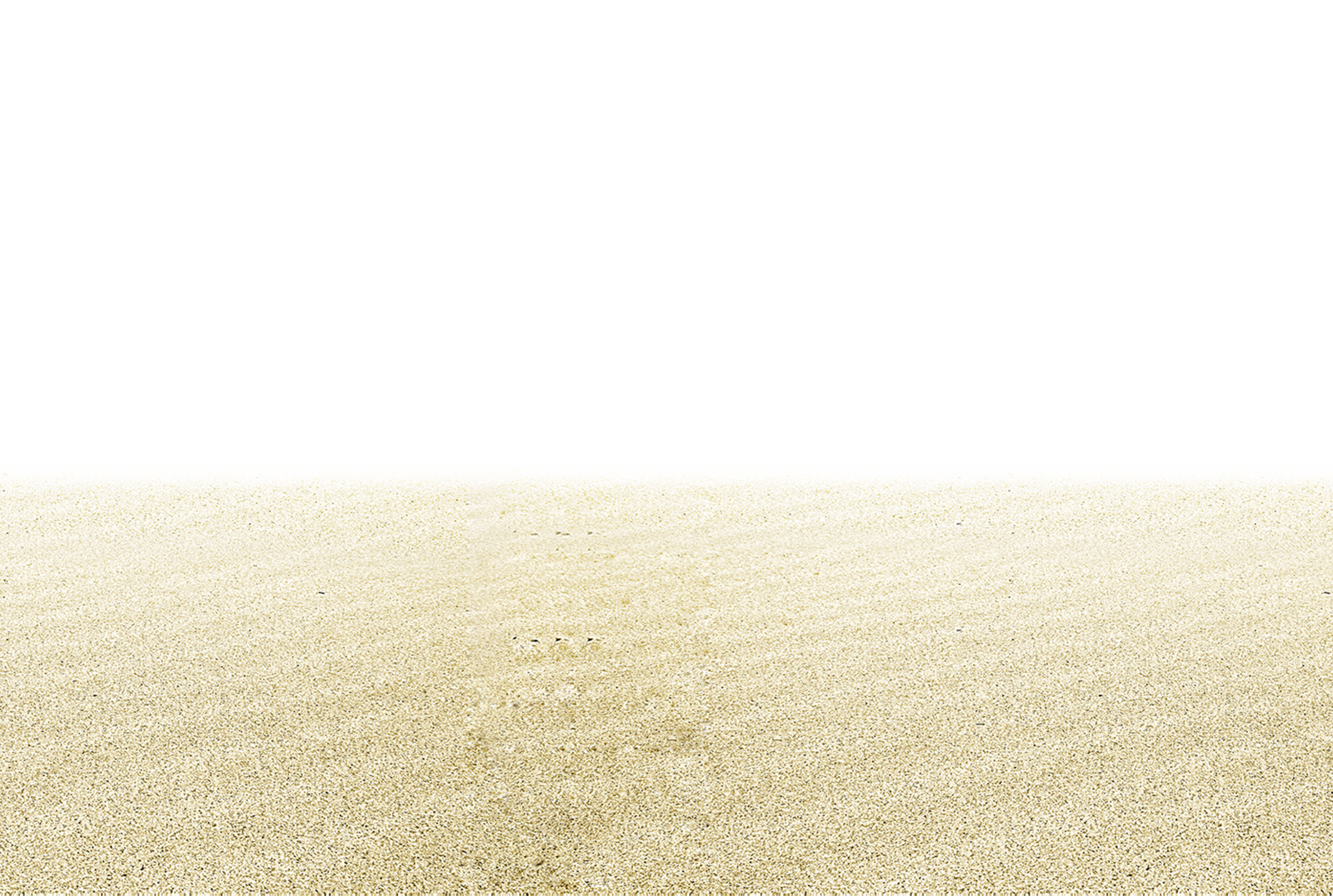 Euclidean Vector Beach Sandy PNG Image High Quality Transparent PNG Image