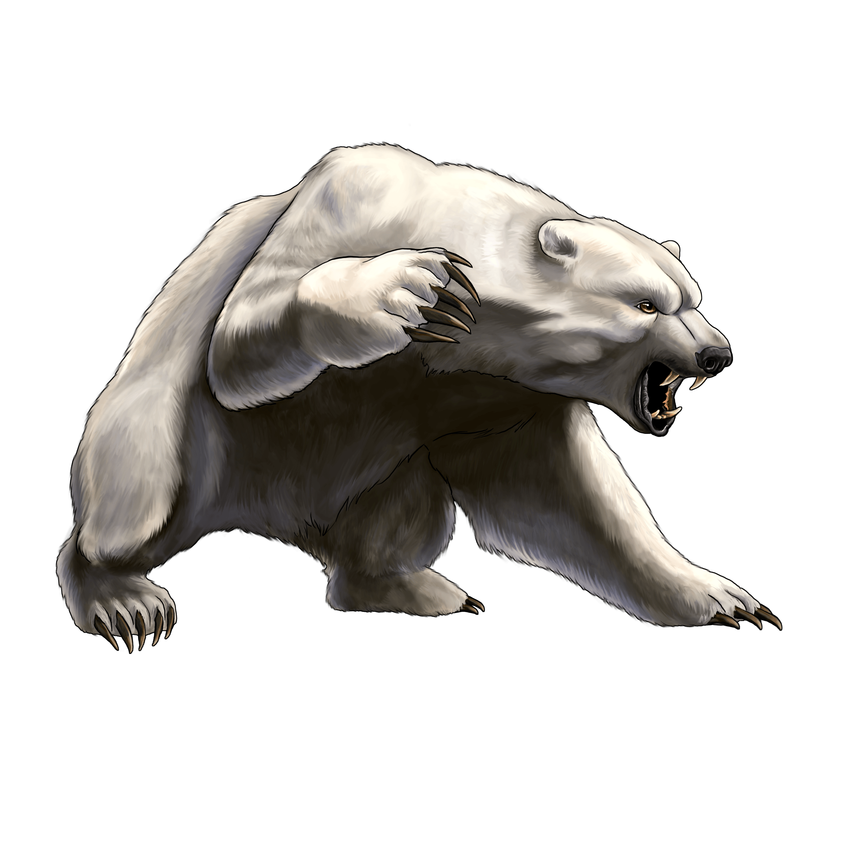 White Angry Bear Png Image Transparent PNG Image