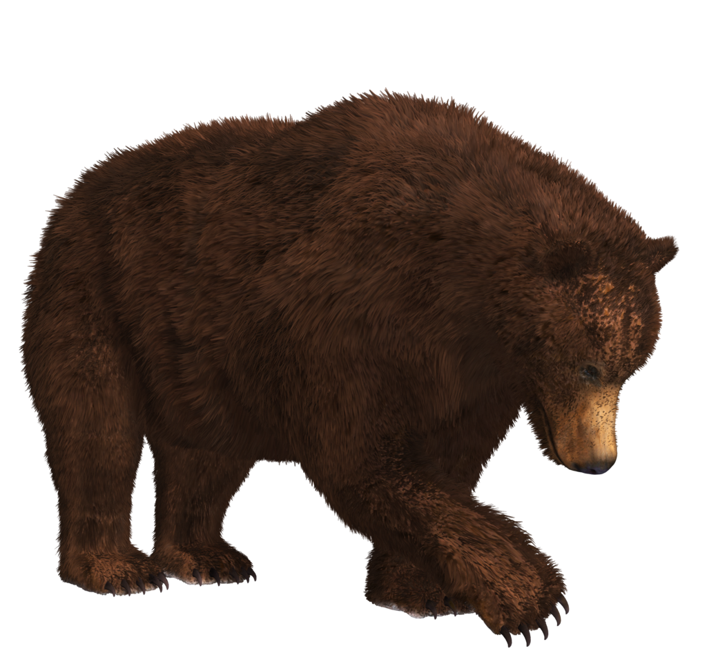 Claw Bear Download HQ Transparent PNG Image