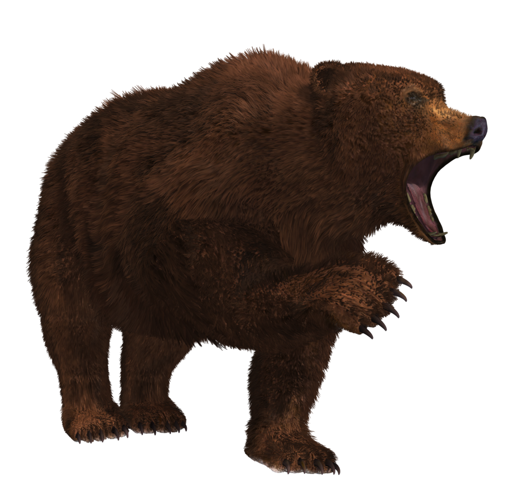 Bear Crawling PNG File HD Transparent PNG Image