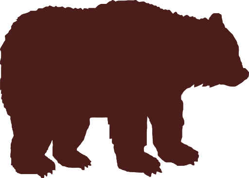 Vector Bear Free PNG HQ Transparent PNG Image