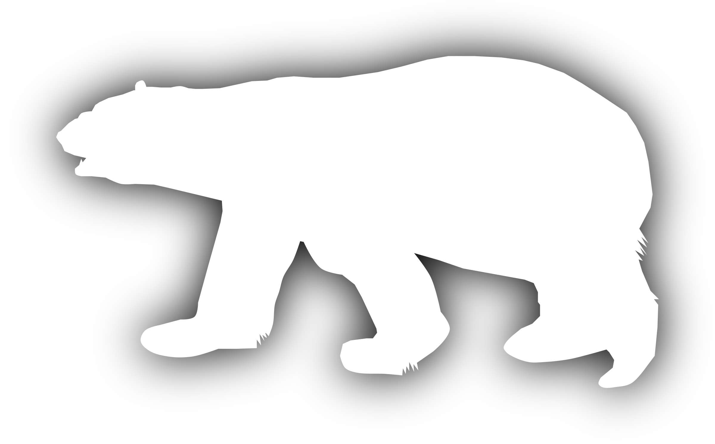 Polar Vector Bear Free Download PNG HD Transparent PNG Image