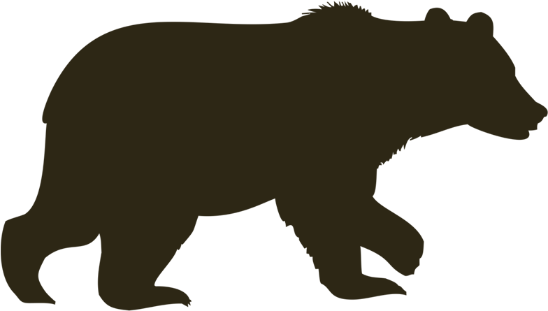 Wild Vector Bear PNG Free Photo Transparent PNG Image