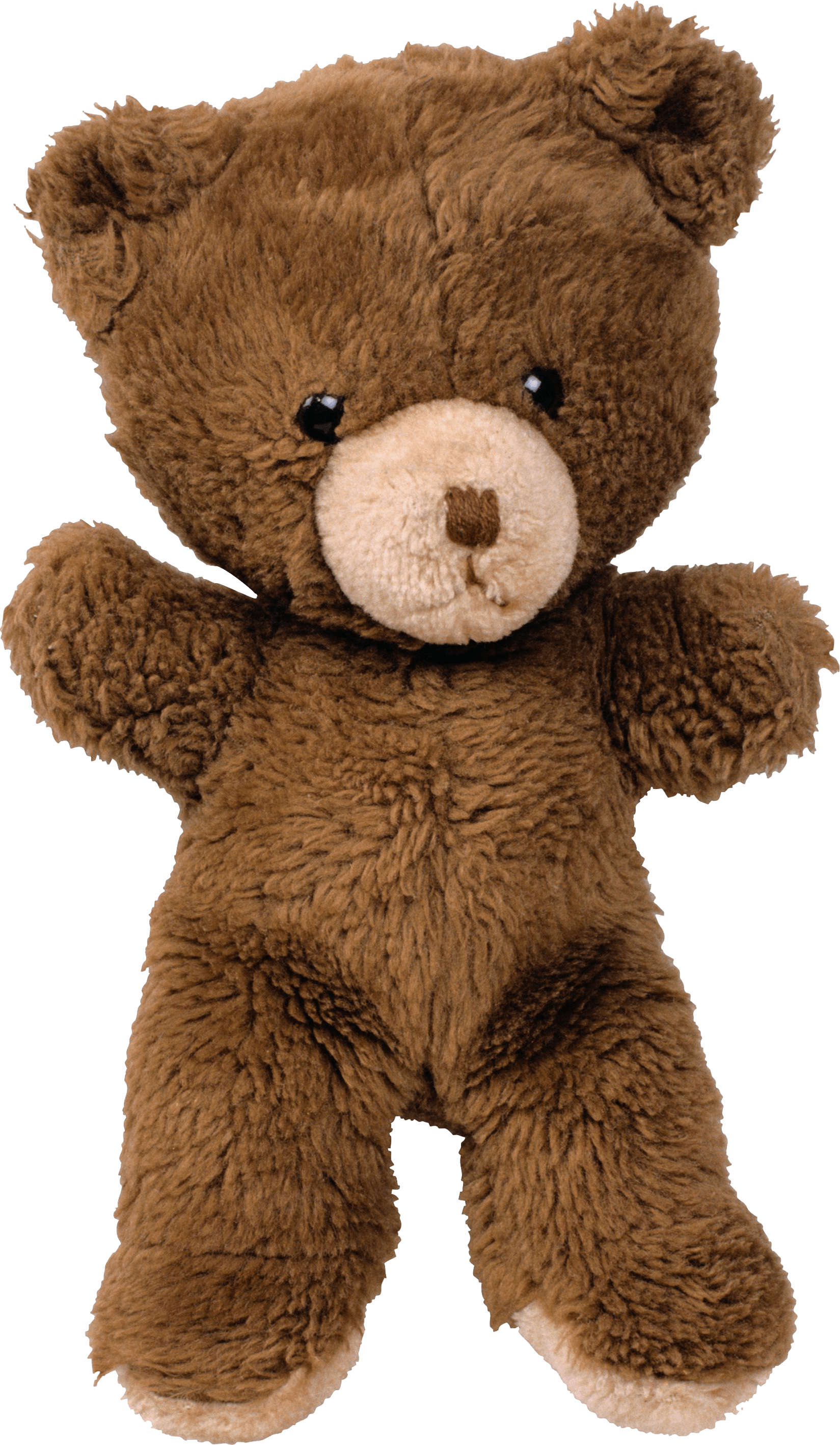 Toy Bear Png Image Transparent PNG Image