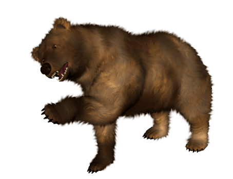 Brown Bear Png Image Transparent PNG Image