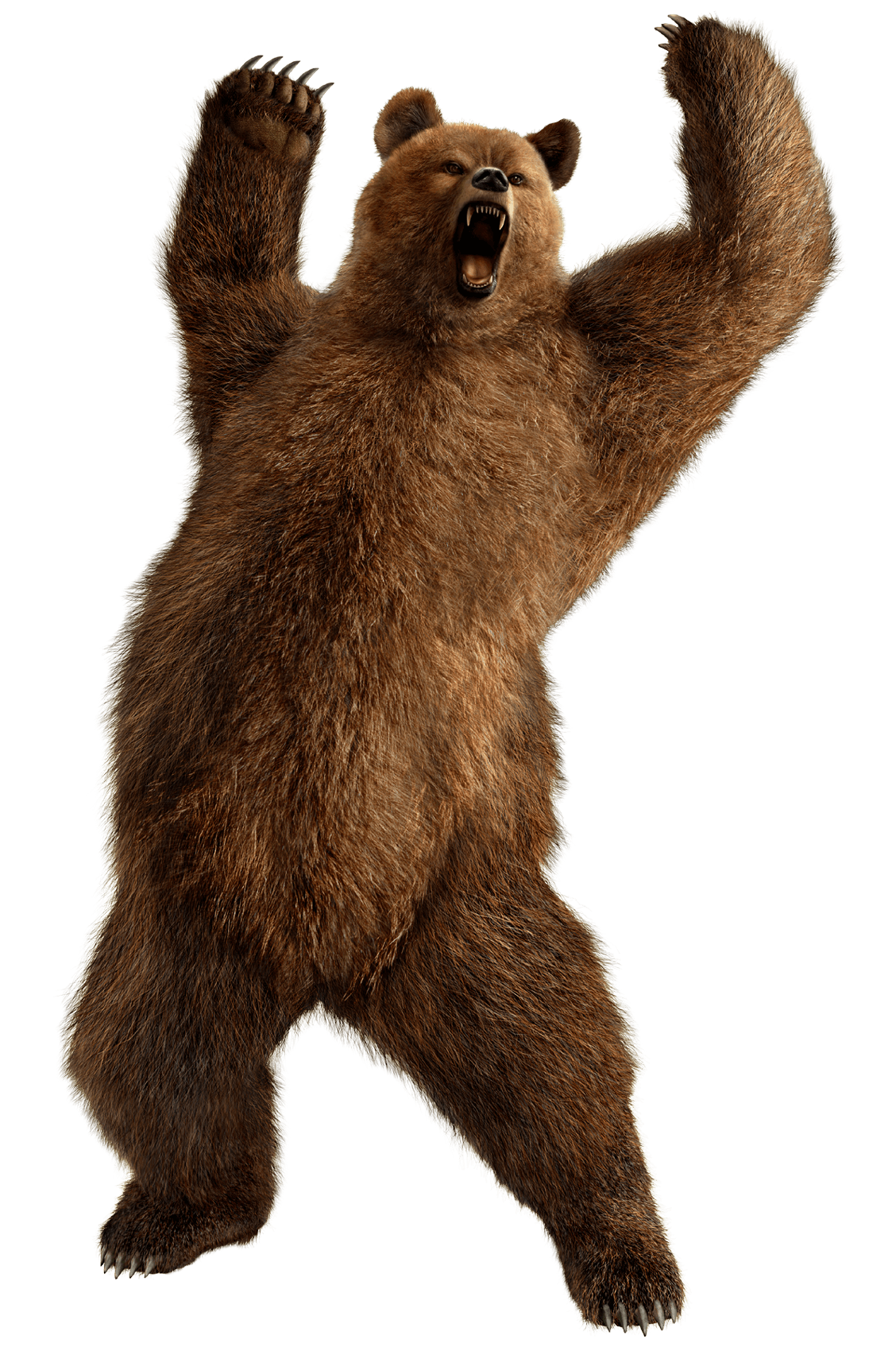 Brown Greezly Bear Png Image Transparent PNG Image