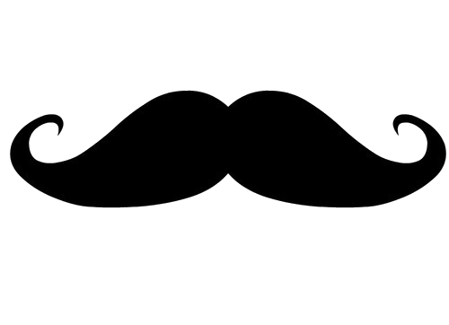 Moustache Png Image Transparent PNG Image