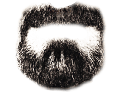 Beard Png Image Transparent PNG Image