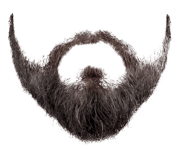 Beard Png Image Transparent PNG Image