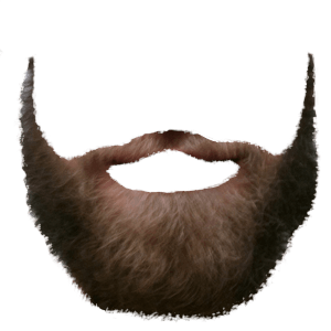 Beard Png Image Transparent PNG Image