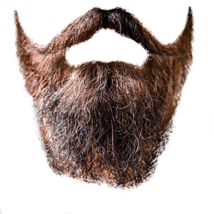 Beard Png 4 Transparent PNG Image