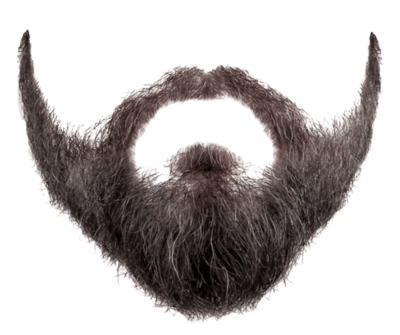 Beard Png Image Transparent PNG Image