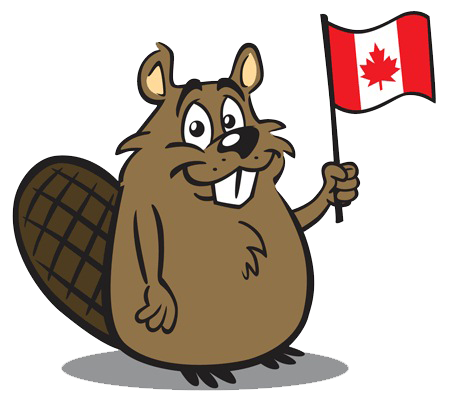 Beaver Free Download Transparent PNG Image