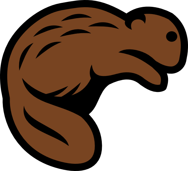 Beaver Photos Transparent PNG Image