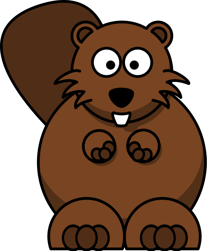 Beaver Transparent Image Transparent PNG Image