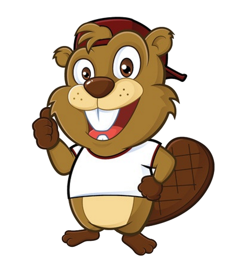 Beaver Transparent Picture Transparent PNG Image