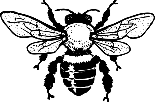 Honey Vector Bee Free HD Image Transparent PNG Image