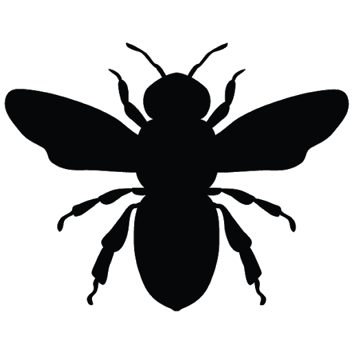 Honey Vector Bee PNG Download Free Transparent PNG Image