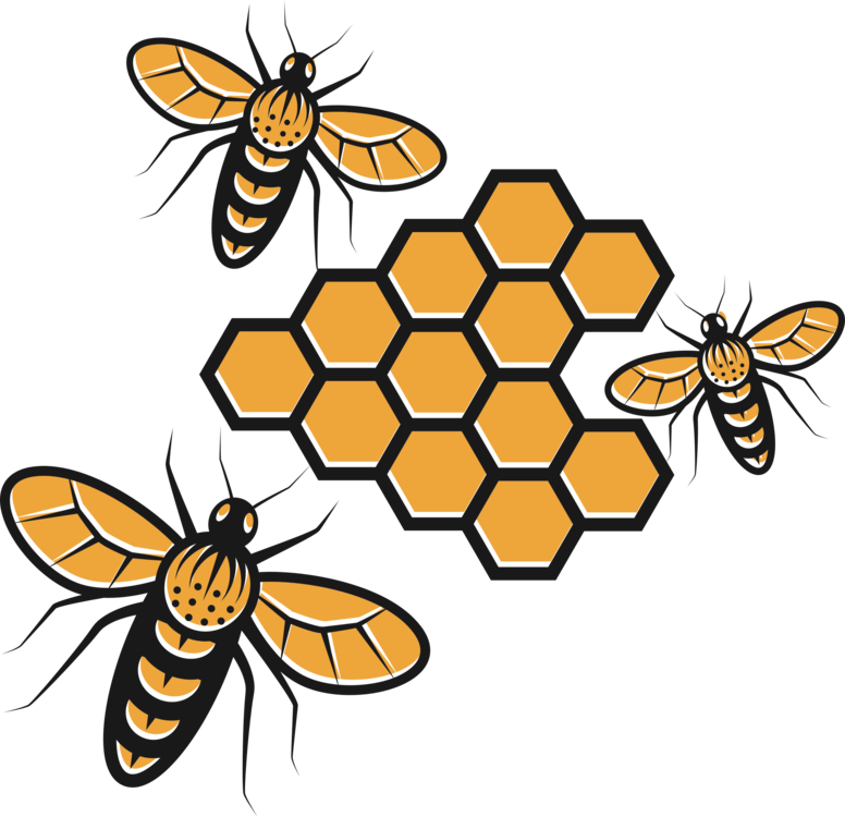 Honey Vector Bee Download HD Transparent PNG Image