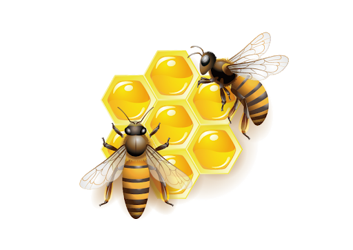 Honey Vector Bee HD Image Free Transparent PNG Image