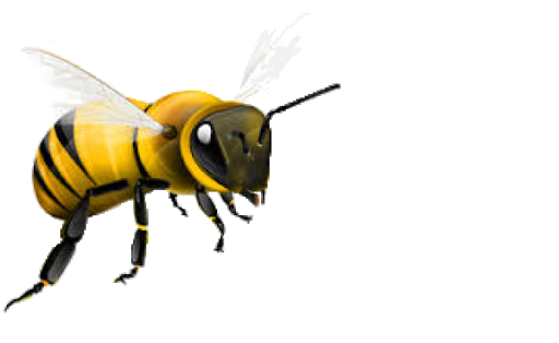 Honey Flying Bee Download HD Transparent PNG Image