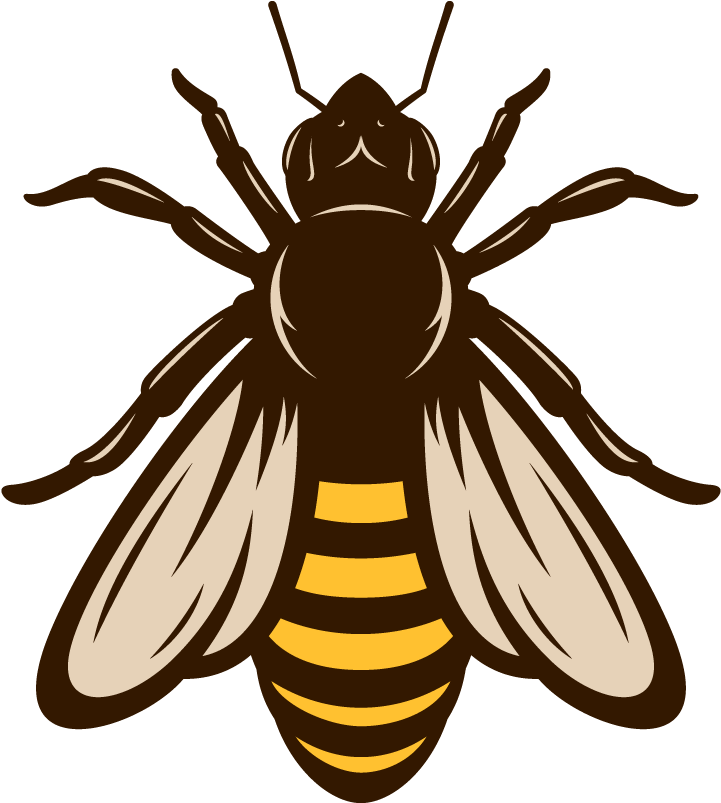 Honey Vector Pic Bee Free Clipart HD Transparent PNG Image