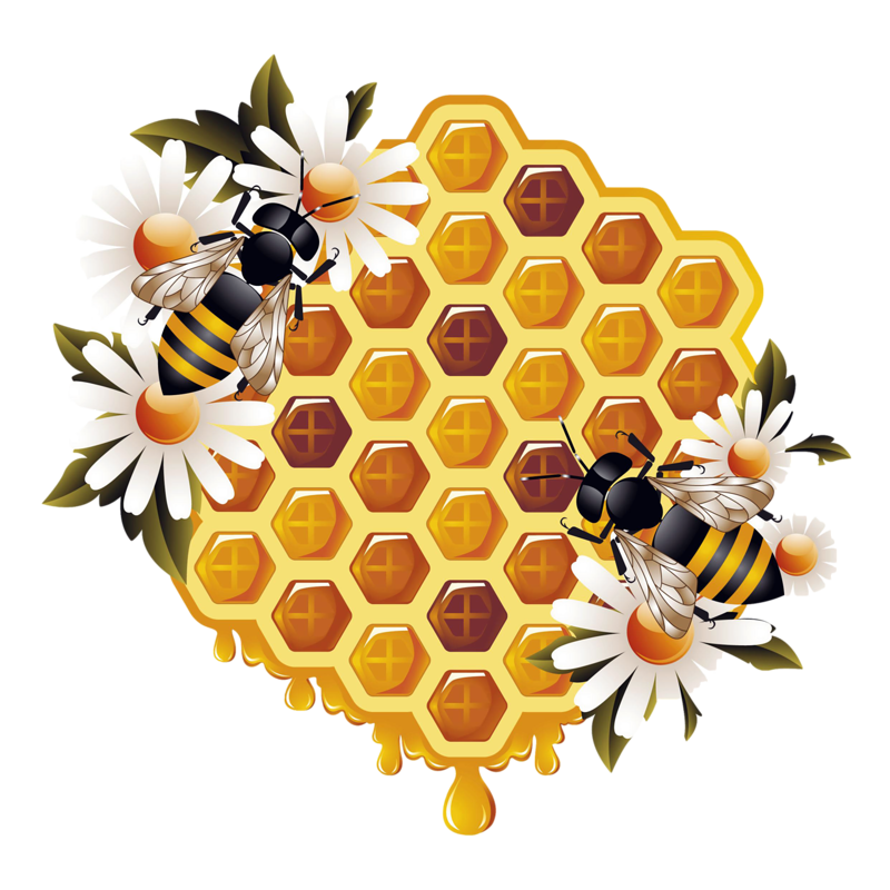 Honey Yellow Bee Free Transparent Image HQ Transparent PNG Image