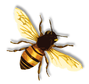 Bee Png 5 Transparent PNG Image