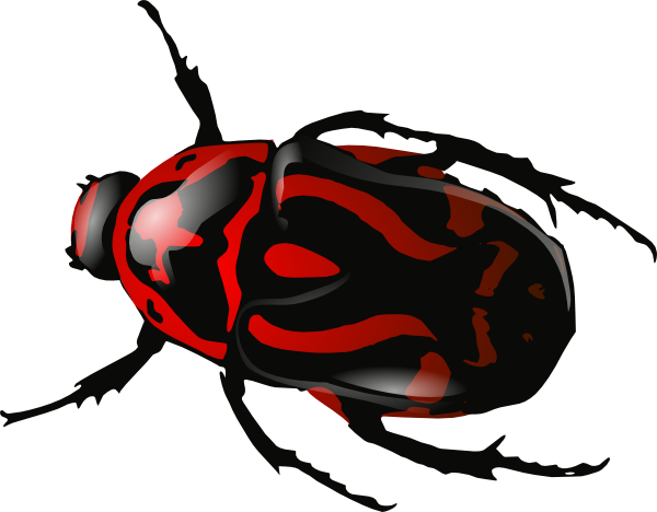 Beetle Free Download Png Transparent PNG Image