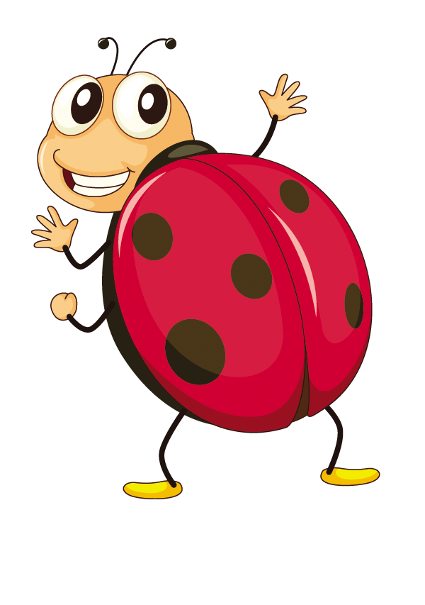 Butterfly Ladybird Insect Fruit Cartoon HD Image Free PNG Transparent PNG Image