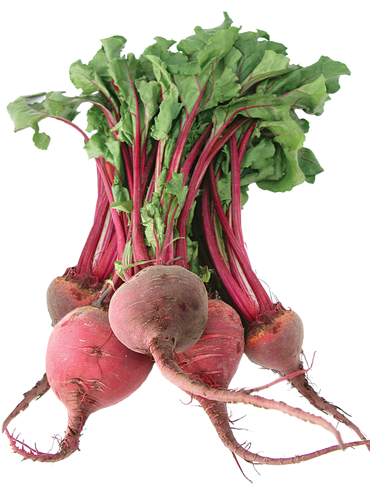 Beetroot Bunch Free Download PNG HD Transparent PNG Image