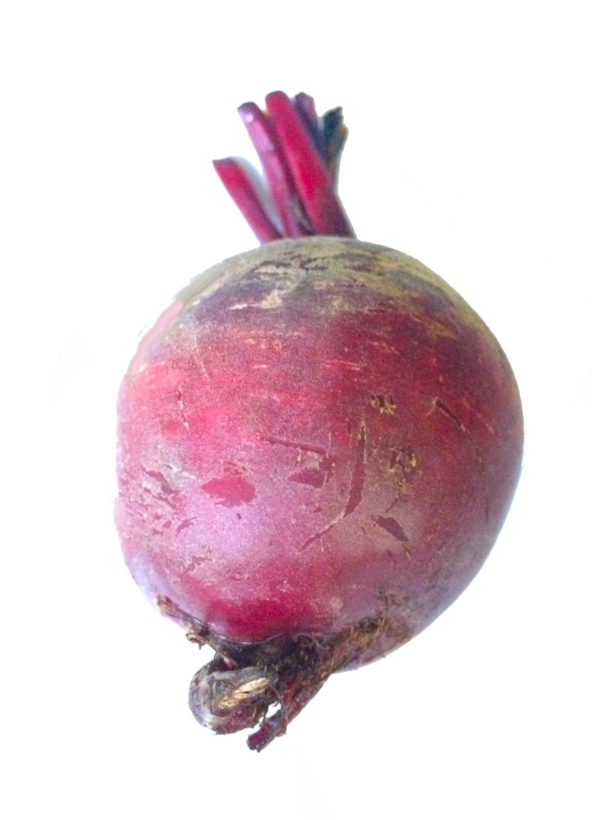 Beetroot Red Free Clipart HQ Transparent PNG Image