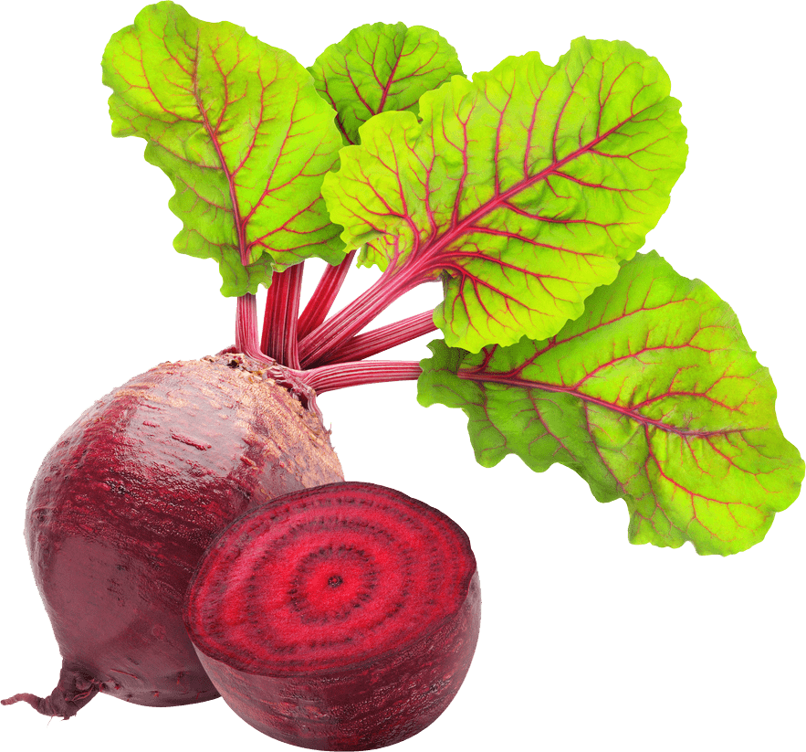 Beetroot Sliced Leaves PNG Image High Quality Transparent PNG Image