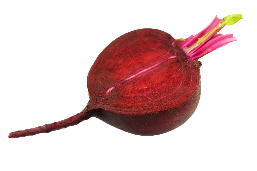 Beetroot Sliced Single HQ Image Free Transparent PNG Image