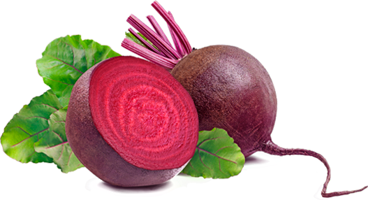 Vegetable Beetroot PNG Image High Quality Transparent PNG Image