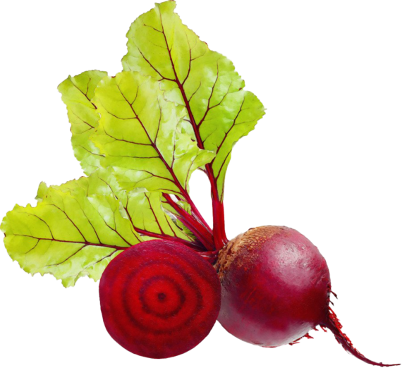 Beetroot Fresh Red Sliced Free Photo Transparent PNG Image