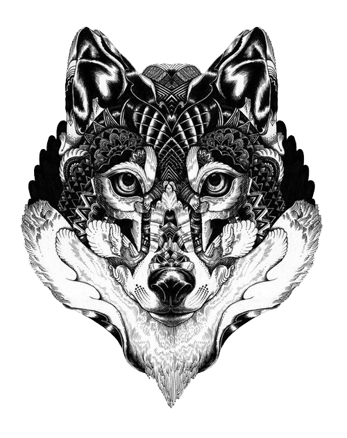 Gray Art Langtou Illustration Tattoo Wolf Drawing Transparent PNG Image