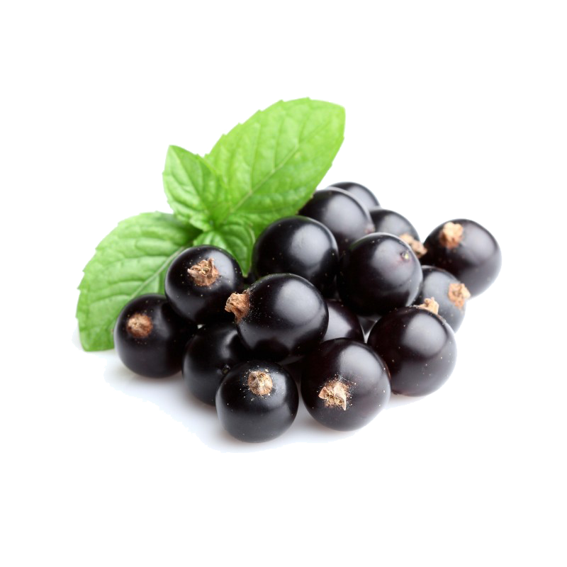 Black Currant Berries Organic Free Download Image Transparent PNG Image