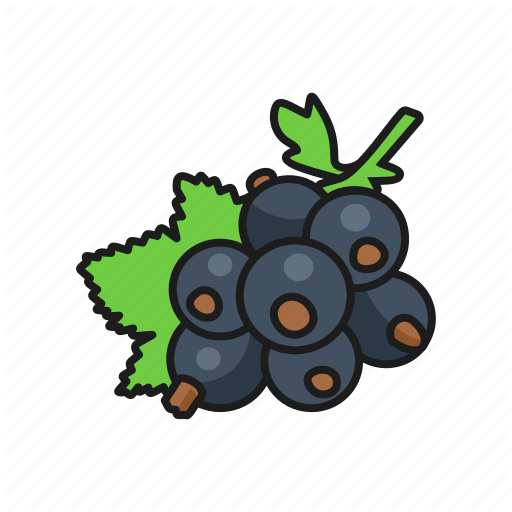 Currant Berries Black PNG Download Free Transparent PNG Image