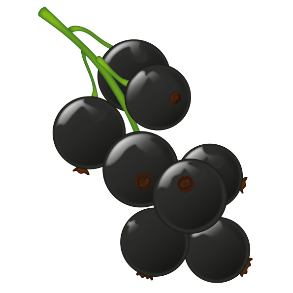 Currant Berries Black Emoji Free Clipart HD Transparent PNG Image