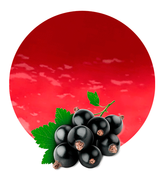 Currant Berries Black Icon Download HQ Transparent PNG Image