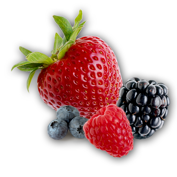 Berries Transparent Picture Transparent PNG Image