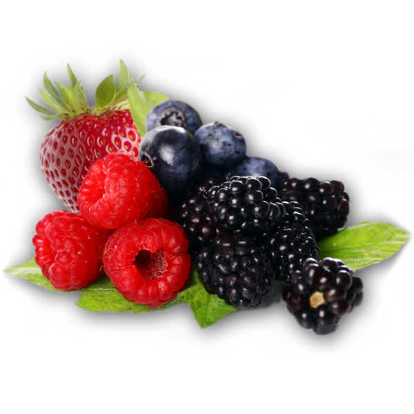 Berries Clipart Transparent PNG Image