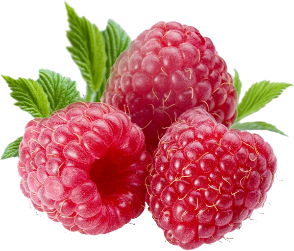 Berries File Transparent PNG Image