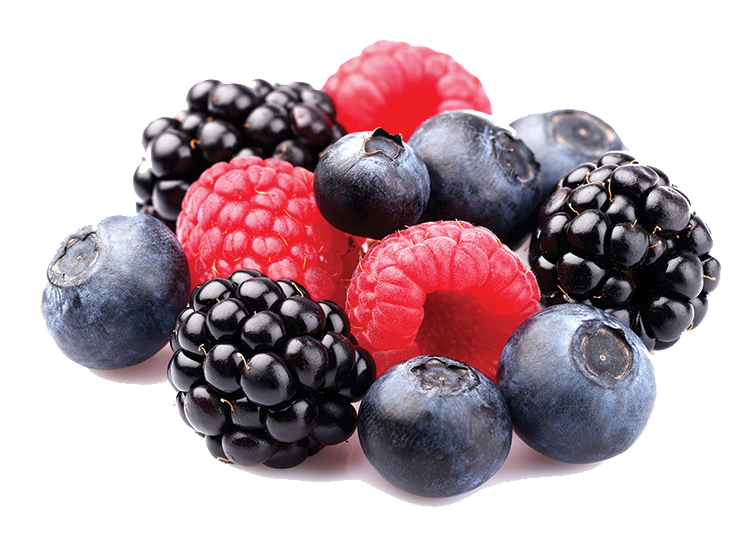 Berries Transparent PNG Image