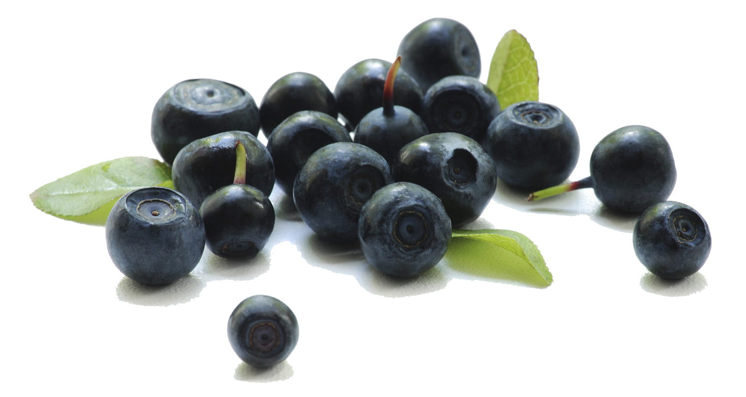 Berries Transparent Background Transparent PNG Image