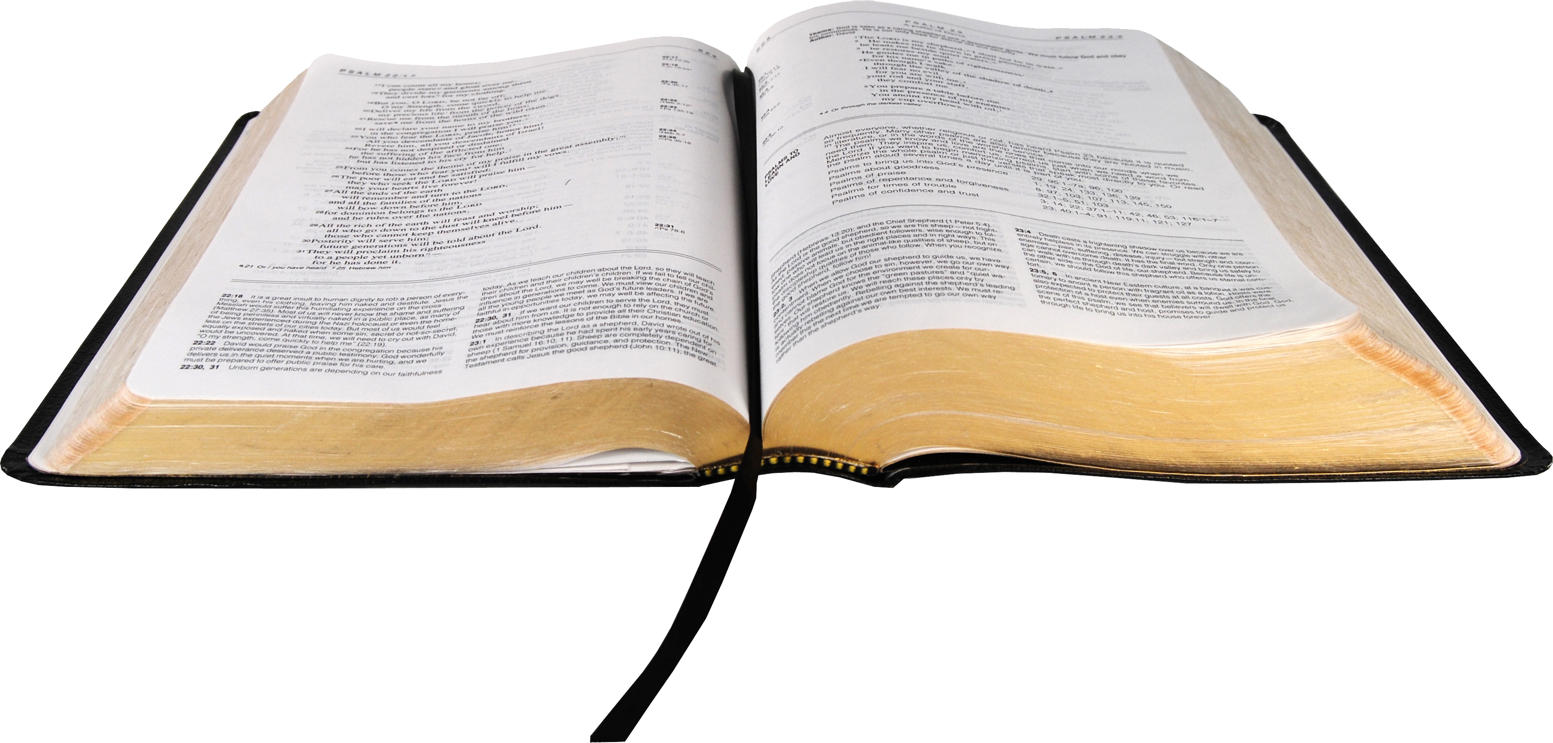 Bible Holy Free Download PNG HQ Transparent PNG Image