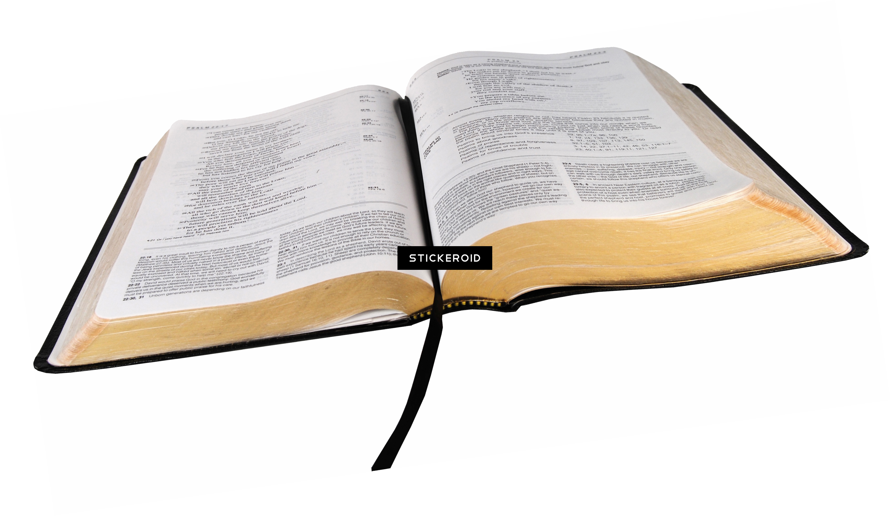 Bible Open Holy Free Transparent Image HQ Transparent PNG Image