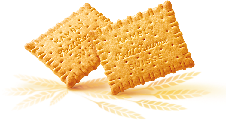 Biscuit Salted HQ Image Free Transparent PNG Image